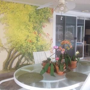 Meet your Posher, Lynda